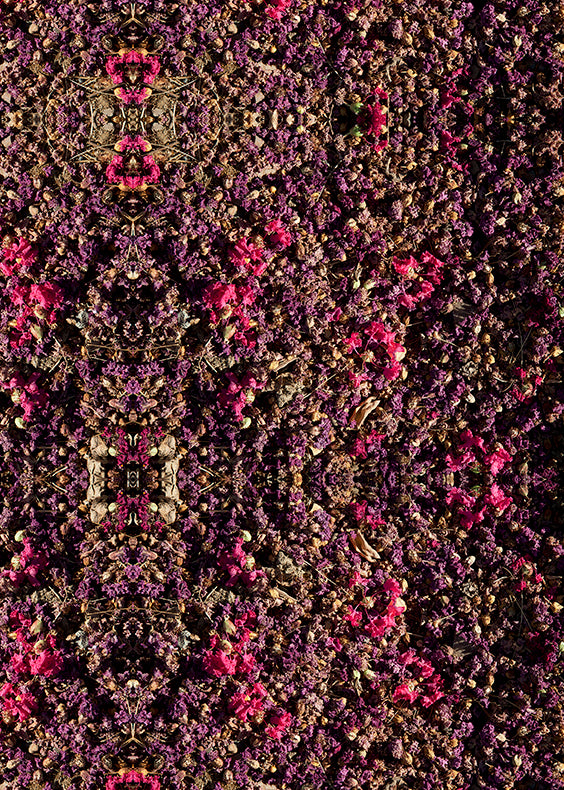 Floral Snakeskin Bow Tie Bikini Top