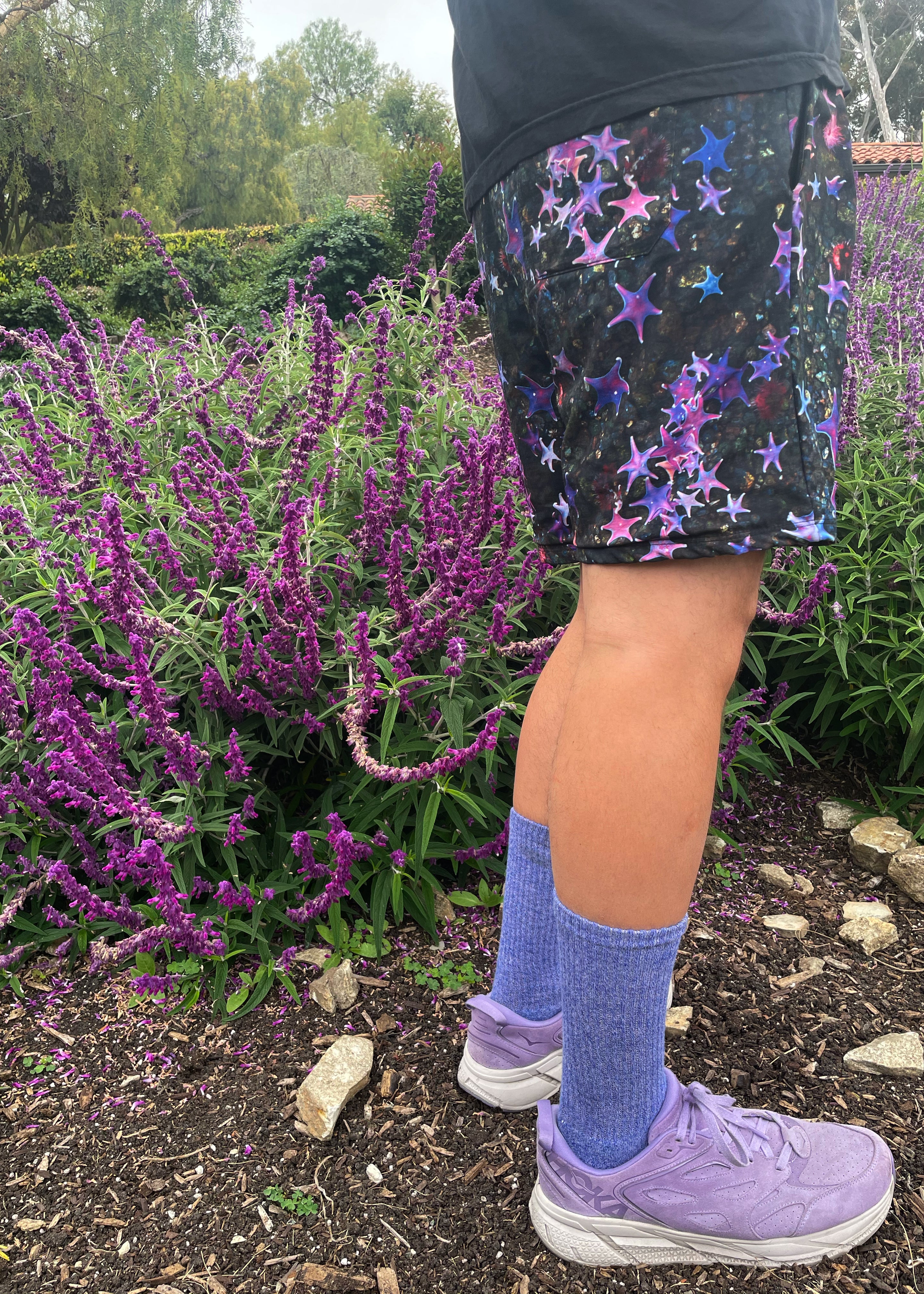 Sea Star Hybrid Shorts