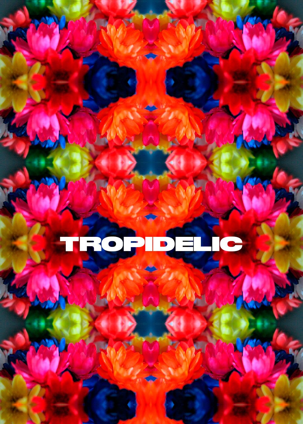 Tropidelic Leggings