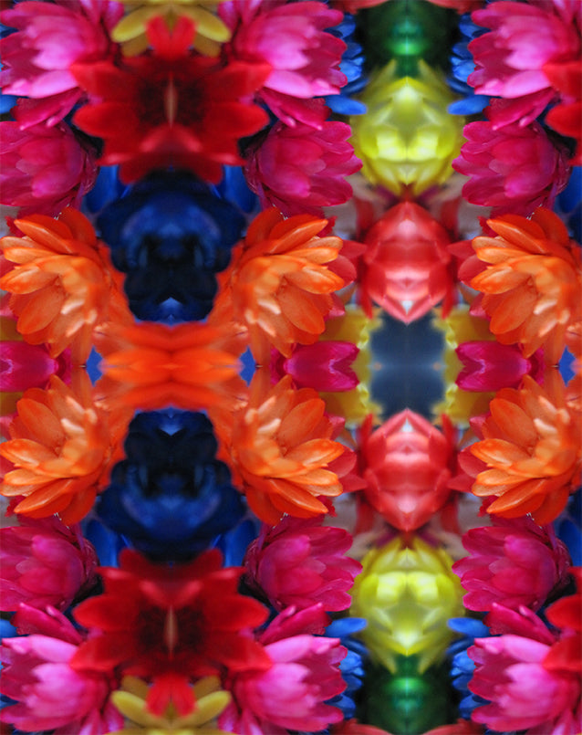 Tropidelic Leggings