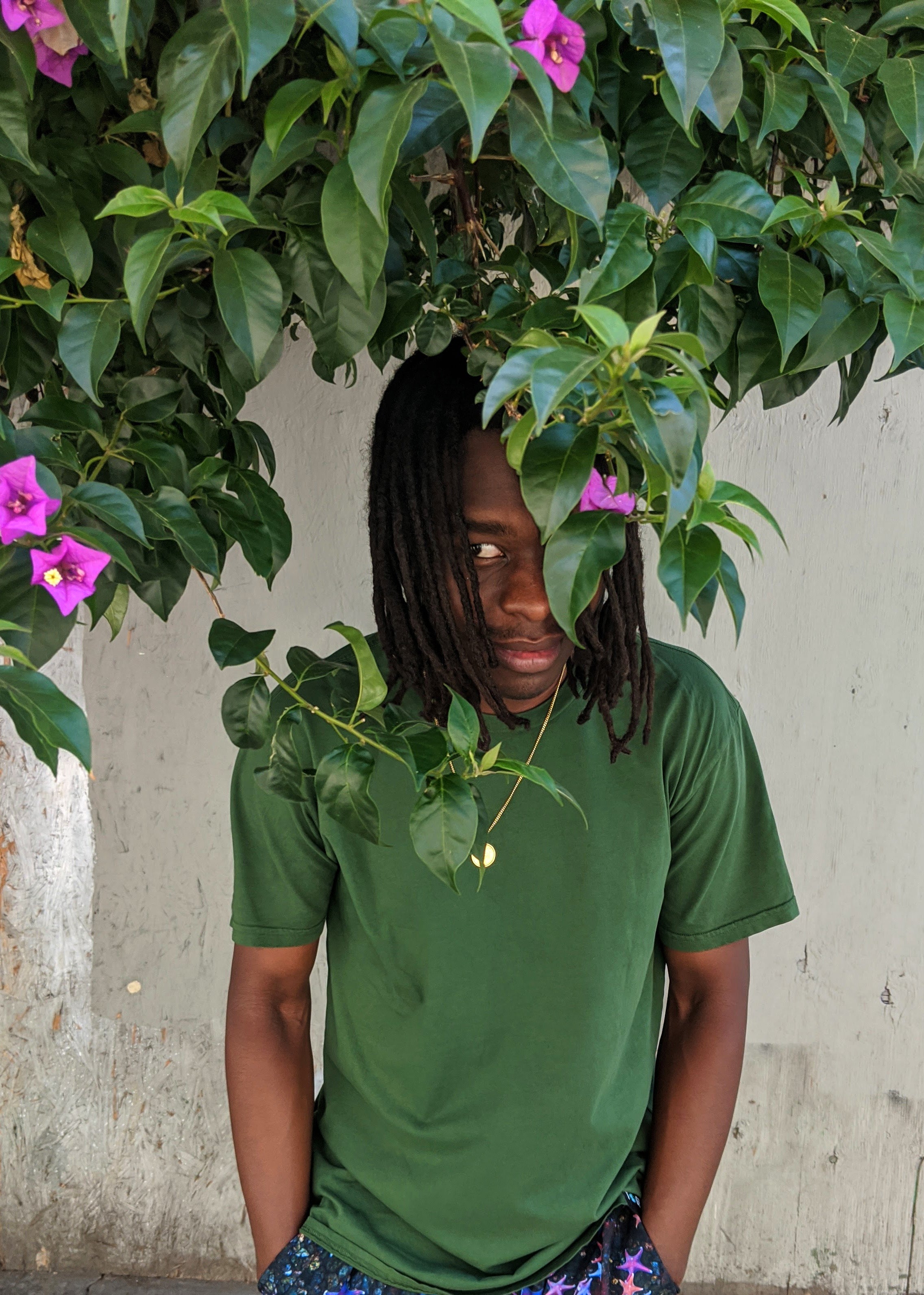 Gatherer Green is a beautiful leafy green. Organic Unisex T-shirt made in California.