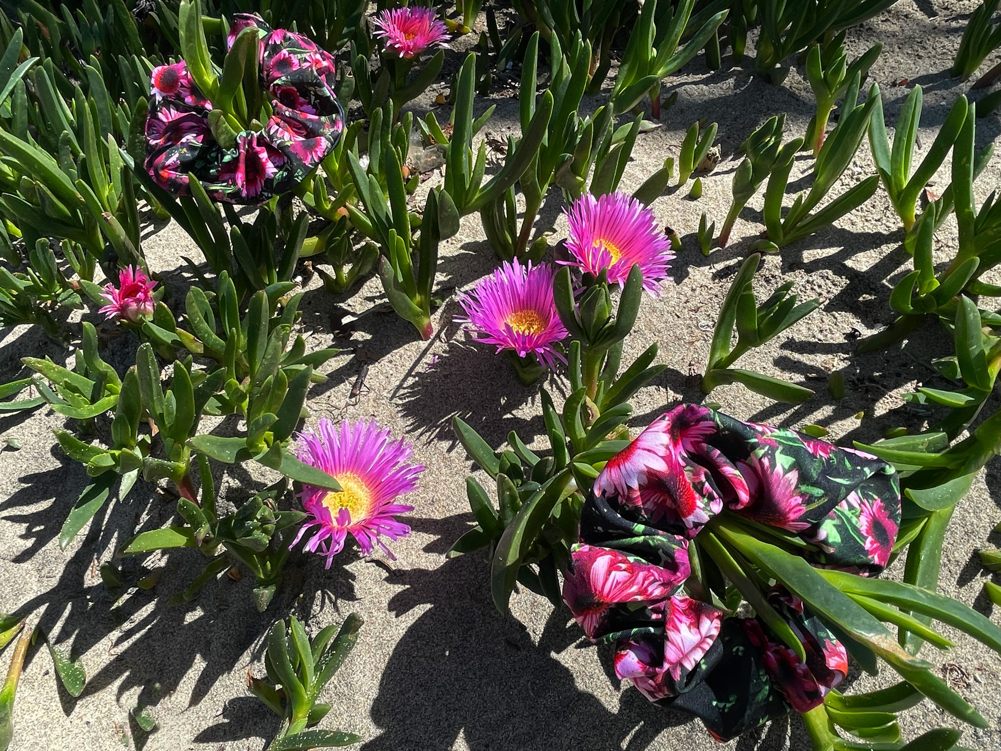 Echinacea Scrunchie