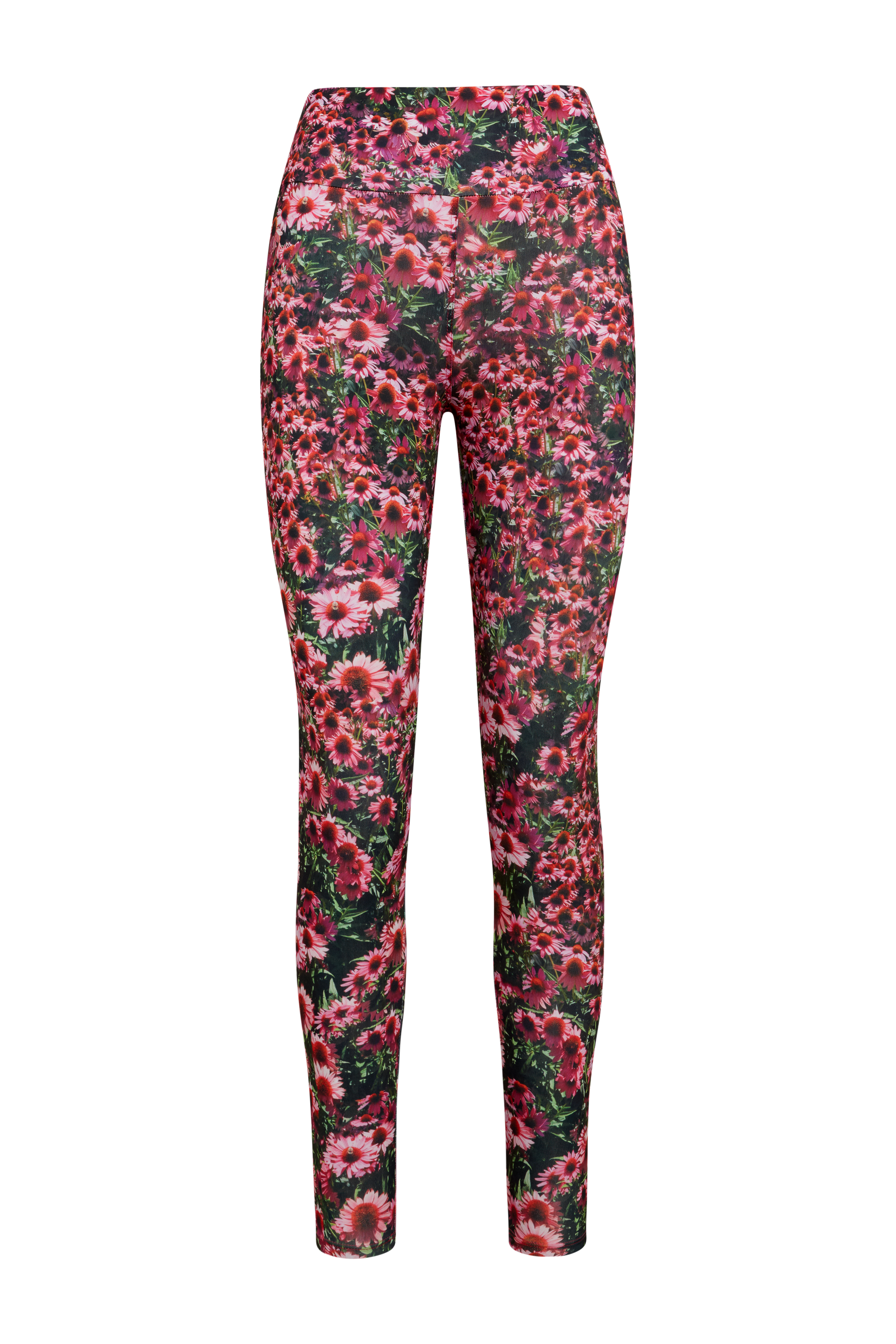 Echinacea Leggings