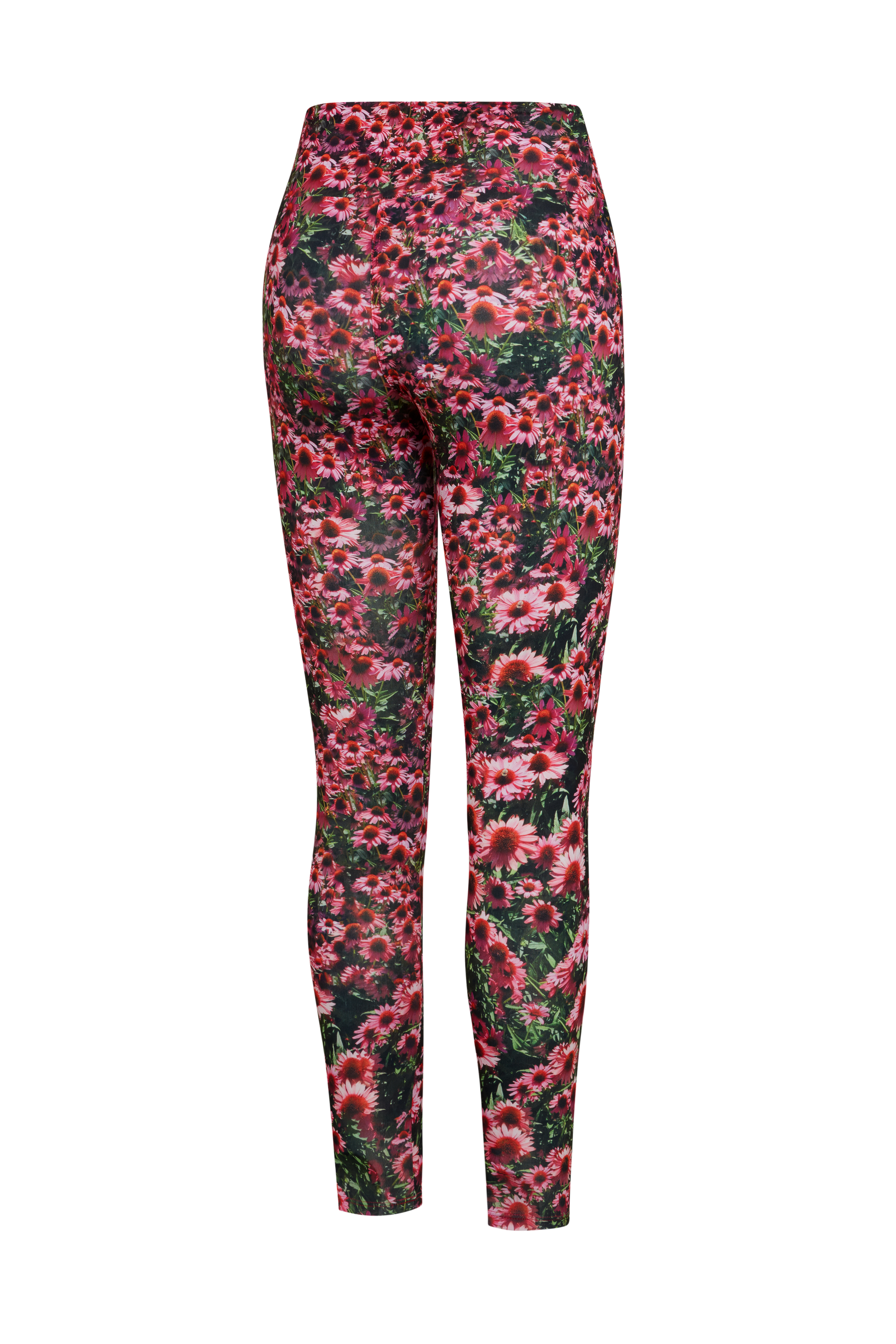 Echinacea Leggings