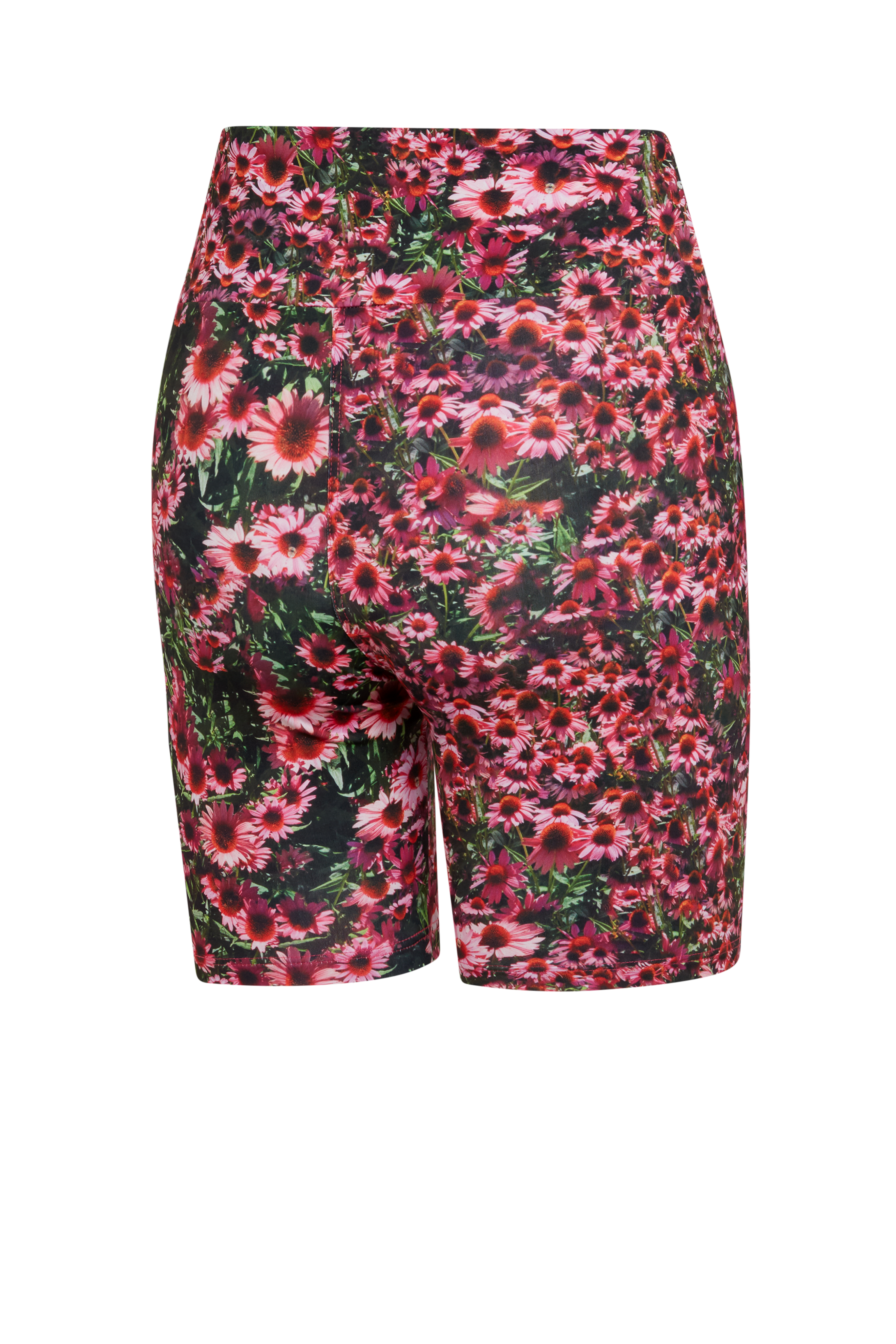 Echinacea Bike Shorts