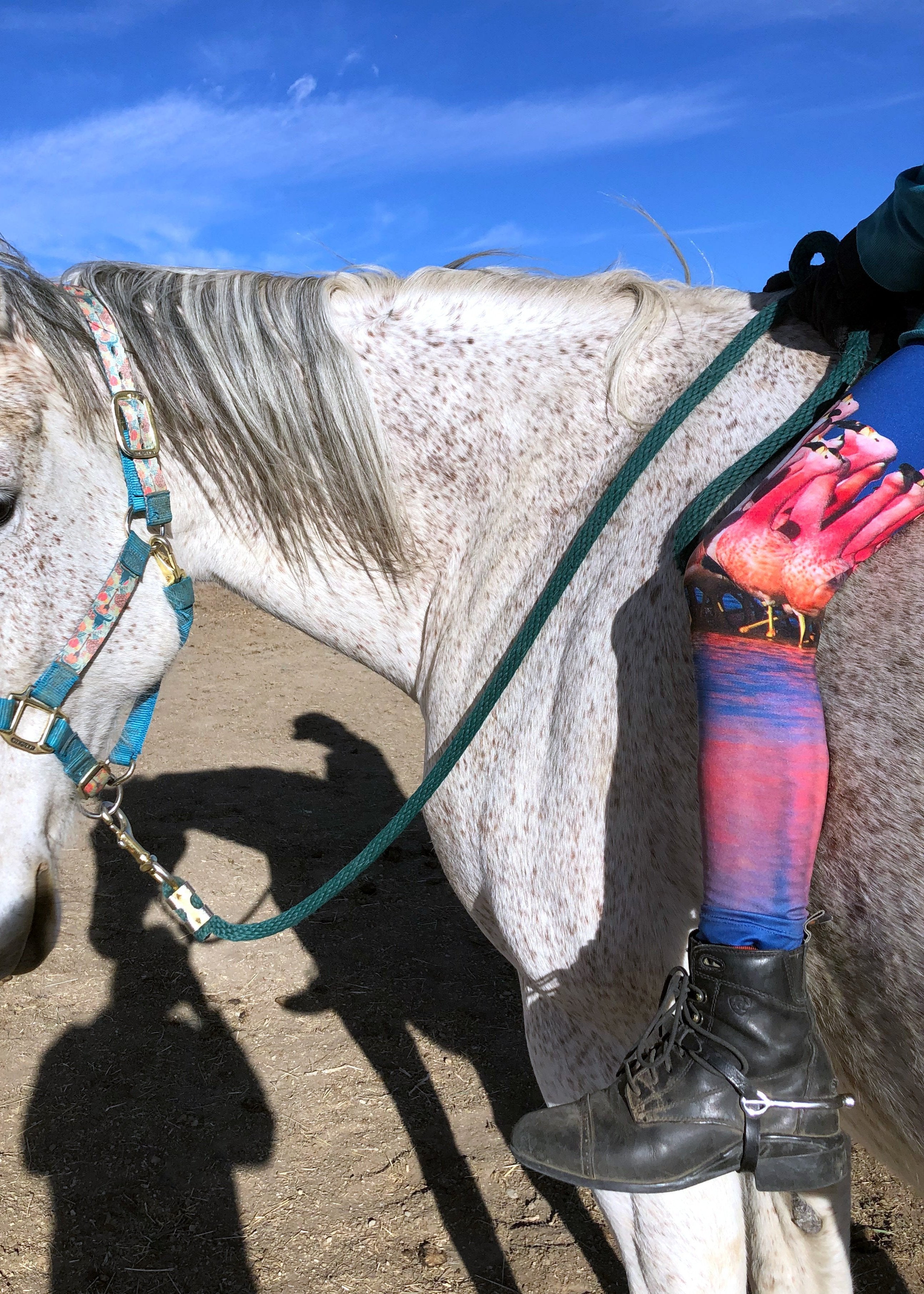 Kids Flamingo Leggings