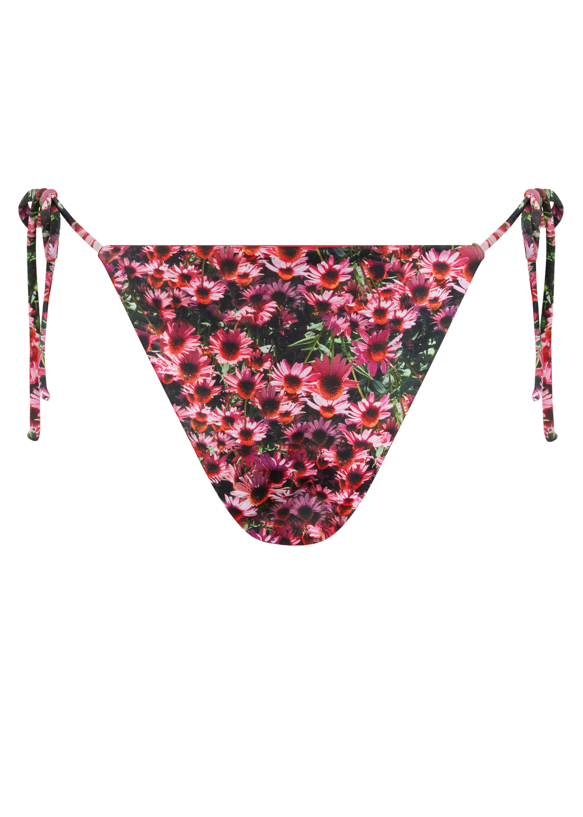 Echinacea String Bikini Bottom