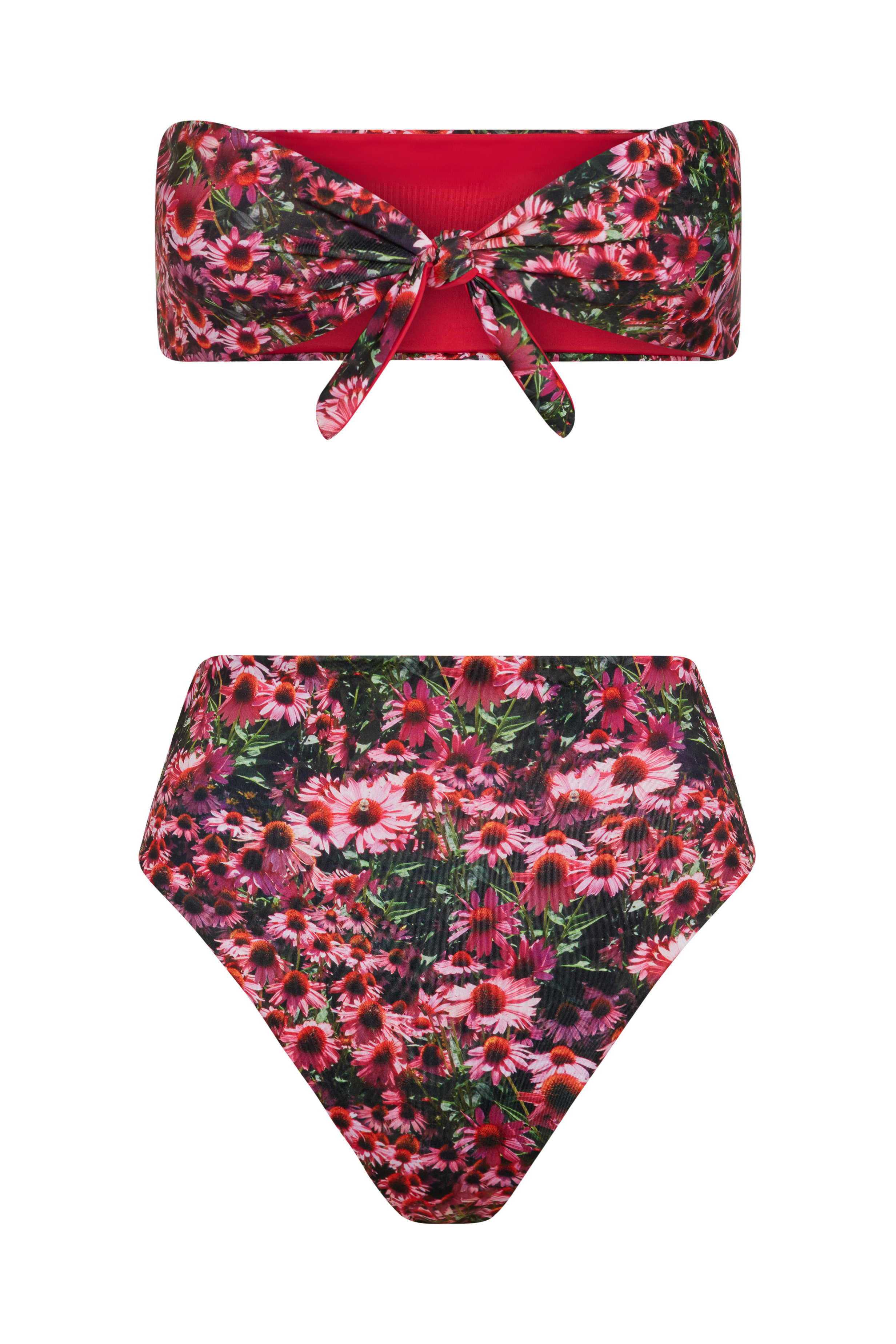 Echinacea Bandeau Bikini Top